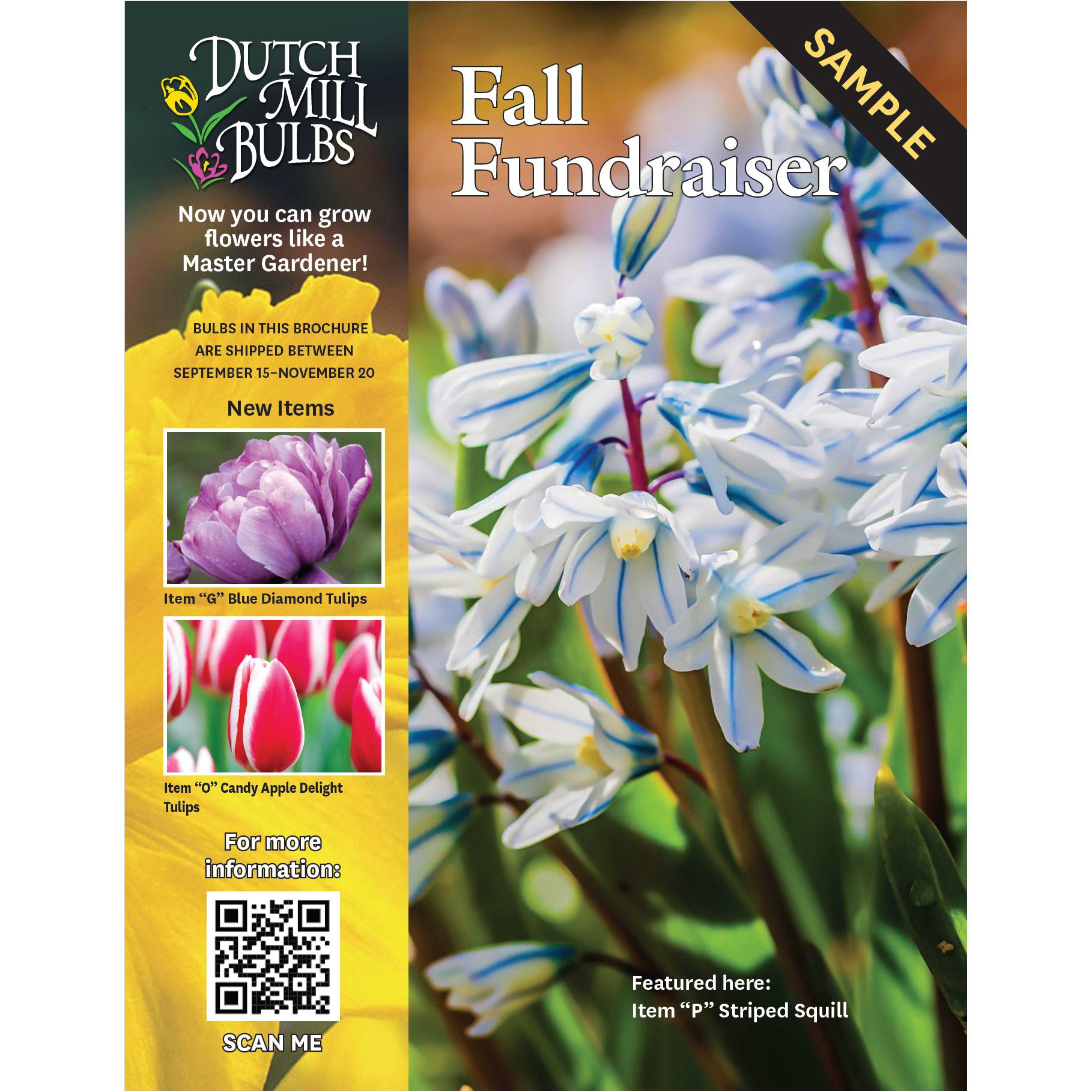 Order Fall Brochures BROCHURE-FALL