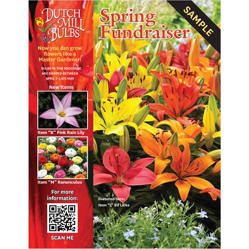 Order Spring Brochures BROCHURE-SPRING
