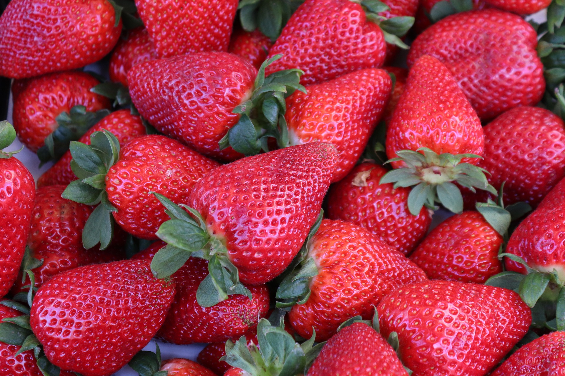 B - Everbearing (Day-Neutral) Strawberries SPRING-B