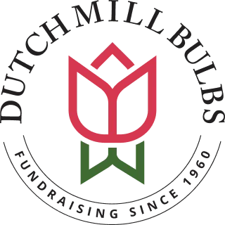 Dutch Millbulbs