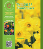 Fall fundraising brochure cover from Dutch Mill Bulbs featuring spring blooming tulips and daffodils for school, church, scout, and PTA bulb fundraisers with 50% profit and grow guarantee
