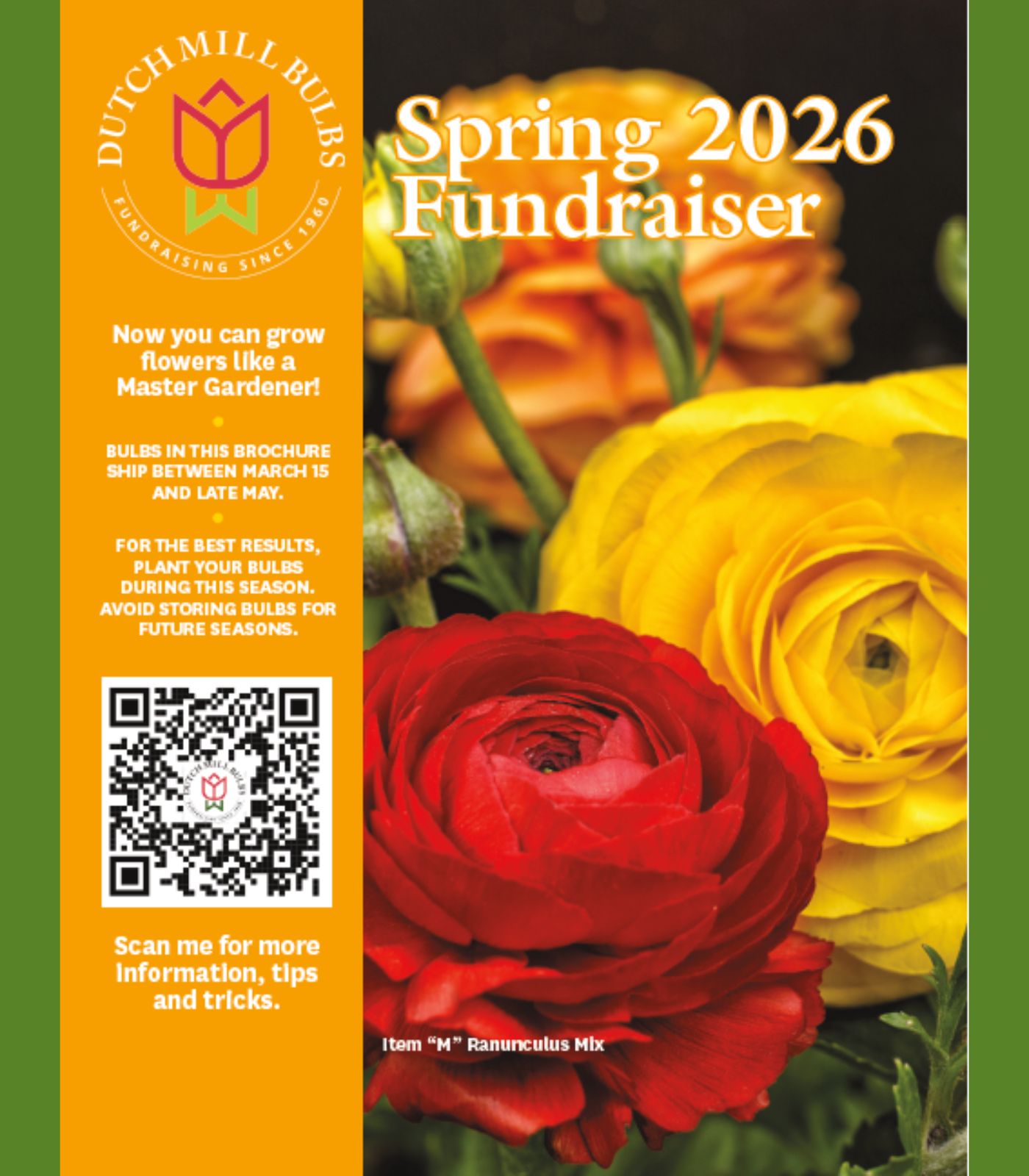 Spring fundraising brochure cover from Dutch Mill Bulbs Fundraising featuring summer blooming flowers for school, church, scout, and PTA bulb and plant fundraisers with 50% profit and grow guarantee