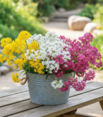 Spring Allium mixed flower bulbs blooming in a decorative container, showing colorful summer flowers for patio gardens and school, church, and scout bulb fundraisers