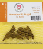 Anemone St. Brigid flower bulb package showing tubers for spring planting used in school, church, and scout bulb fundraising with 50% profit and grow guarantee