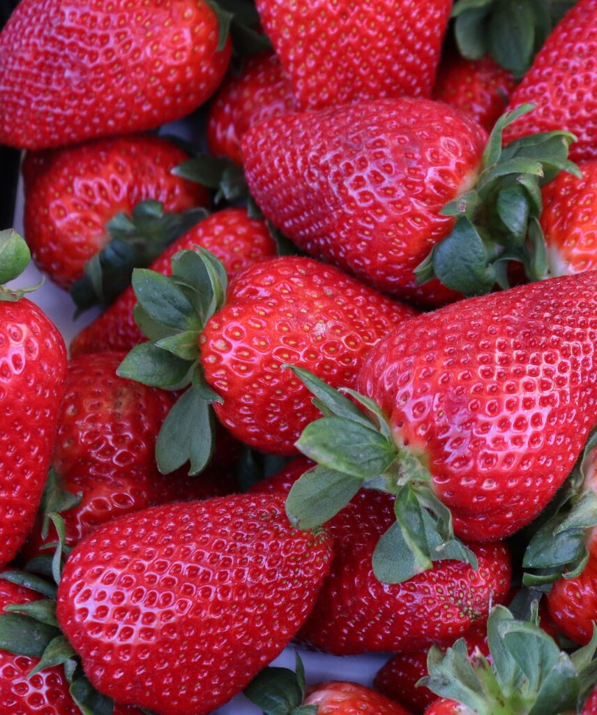 Fresh ripe strawberries close-up - everbearing variety with red berries and green leaves